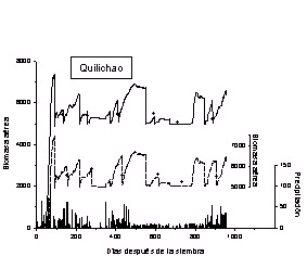 Simulated and observed biomass